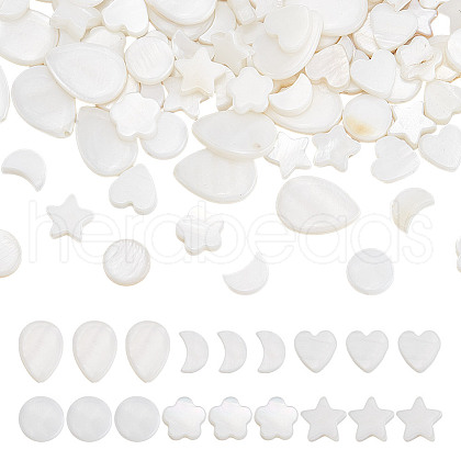 ARRICRAFT 120Pcs 6 Styles Natural Shell Beads SHEL-AR0001-16-1