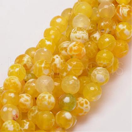 Natural Fire Crackle Agate Bead Strands G-G882-10mm-B05-5-1