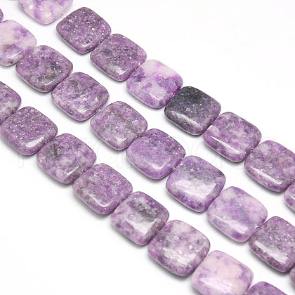 Natural Lepidolite/Purple Mica Stone Beads Strands G-L253-03-1
