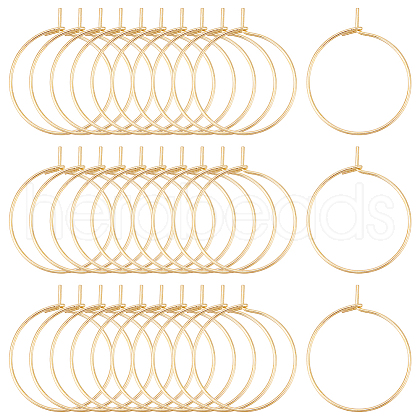 30Pcs 316 Surgical Stainless Steel Hoop Earring Findings STAS-LP0001-01-1