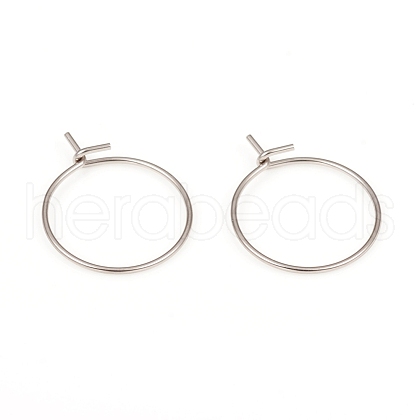 316L Surgical Stainless Steel Hoop Earring Findings STAS-G229-06P-1