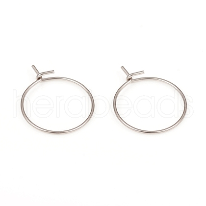 316L Surgical Stainless Steel Hoop Earring Findings STAS-G229-06P-1