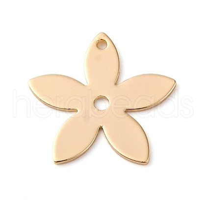 Brass Pendants KK-R223-05G-1