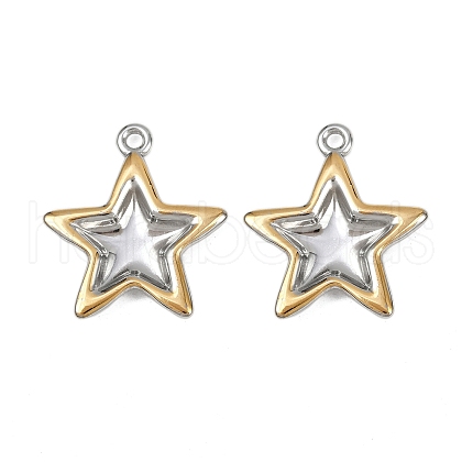 304 Stainless Steel Pendants STAS-L290-65GP-1