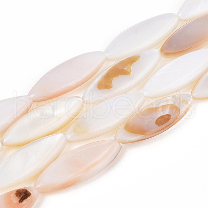 Natural Freshwater Shell Beads Strands PBB220Y-1-01-1
