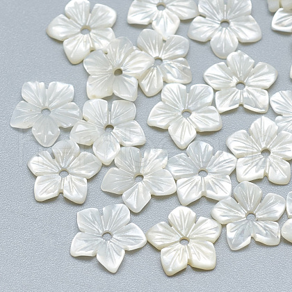 Natural White Shell Beads SSHEL-S260-006-1