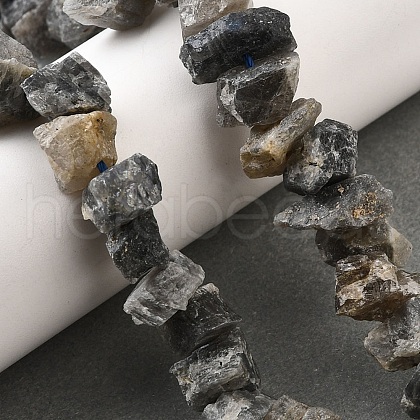 Natural Labradorite Beads Strands G-I283-F14-1