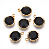 K9 Glass Charms X1-GLAA-T023-37A-01-1