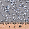 11/0 Grade A Ceylon Glass Seed Beads X-SEED-N001-B-0486-3
