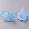 Transparent Acrylic Beads BSF796-C27-2