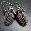 National Style Alloy Rhinestone Dangle Earrings FS-WGBC682-06-1