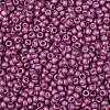TOHO Round Seed Beads SEED-JPTR08-0563F-2