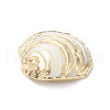 Natural Sea Shell Pendants X-SHEL-F005-06LG-4