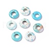 Natural Howlite Charms TURQ-L031-019B-1