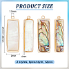 SUPERFINDINGS 12Pcs 2 Styles Natural Paua Shell/Abalone Shell Pendants FIND-BC0013-35-2