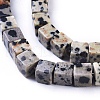 Natural Dalmatian Jasper Beads Strands G-D0020-14-3