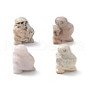 Natural Crazy Agate Display Decoration G-C022-02B-1