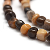 Natural Petrified Wood Beads Strands G-F465-20B-3