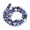 Natural Sodalite Beads Strands G-K410-02-8mm-2