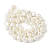 Electroplated Shell Pearl Beads Strands BSHE-M036-02A-2