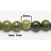 Natural Idocrase Beads Strands G-N165-7-5