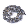 Natural Labradorite Beads Strands G-I225-15A-2