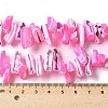 Dyed Natural Trochus Shell Beads Strands SSHEL-C013-09E-4