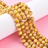 Natural Yellow Tiger Eye Beads Strands X-G-G212-8mm-18-4