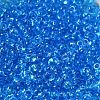 Transparent Colours Glass Seed Beads X1-SEED-P006-02A-08-3