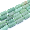 Frosted Natural Aventurine Beads Strands G-L552C-01-1