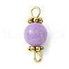 Natural Mixed Gemstone Connector Charms PALLOY-JF02221-2