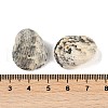 Natural Shell Pendants SHEL-K009-17A-3
