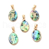Constellation Natural Paua Shell Pendants KK-P265-01G-10-1