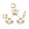 Brass Micro Pave Cubic Zirconia Charms X2-ZIRC-F111-09G-08-1