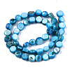 Natural Freshwater Shell Beads Strands SHEL-S276-110B-03-2