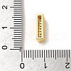 Brass Micro Pave Clear Cubic Zirconia Charms ZIRC-C009-01G-I-3