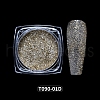 Nail Art Glitter Powder MRMJ-T090-01D-2