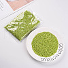 Glass Seed Beads X1-SEED-A010-3mm-44-5