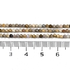 Natural Alashan Agate Beads Strands G-C181-B05-01-5