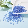 6/0 Glass Seed Beads SEED-YW0001-25G-6