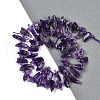 Natural Amethyst Nuggets Beads Strands G-B125-B01-01-2