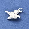 925 Sterling Silver Fish Charms STER-R012-06S-2