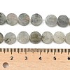 Natural Labradorite Beads Strands G-M454-B07-4