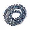 Electroplate Glass Beads Strands EGLA-L040-FR03-2