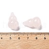 Natural Rose Quartz Beads G-L620-C07-3