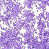 Imitation Cat Eyes Glass Seed Beads X1-SEED-H003-03F-3