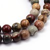 Natural Polychrome Jasper/Picasso Stone/Picasso Jasper Round Bead Strands X-G-J303-16-6mm-3