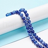 Handmade Lampwork Beads Strands LAMP-D072-A-07-4
