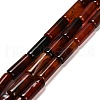 Dyed Natural Agate Beads Strands G-G203-01B-2