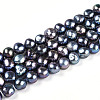 Natural Cultured Freshwater Pearl Beads Strands PEAR-N014-06G-06-5